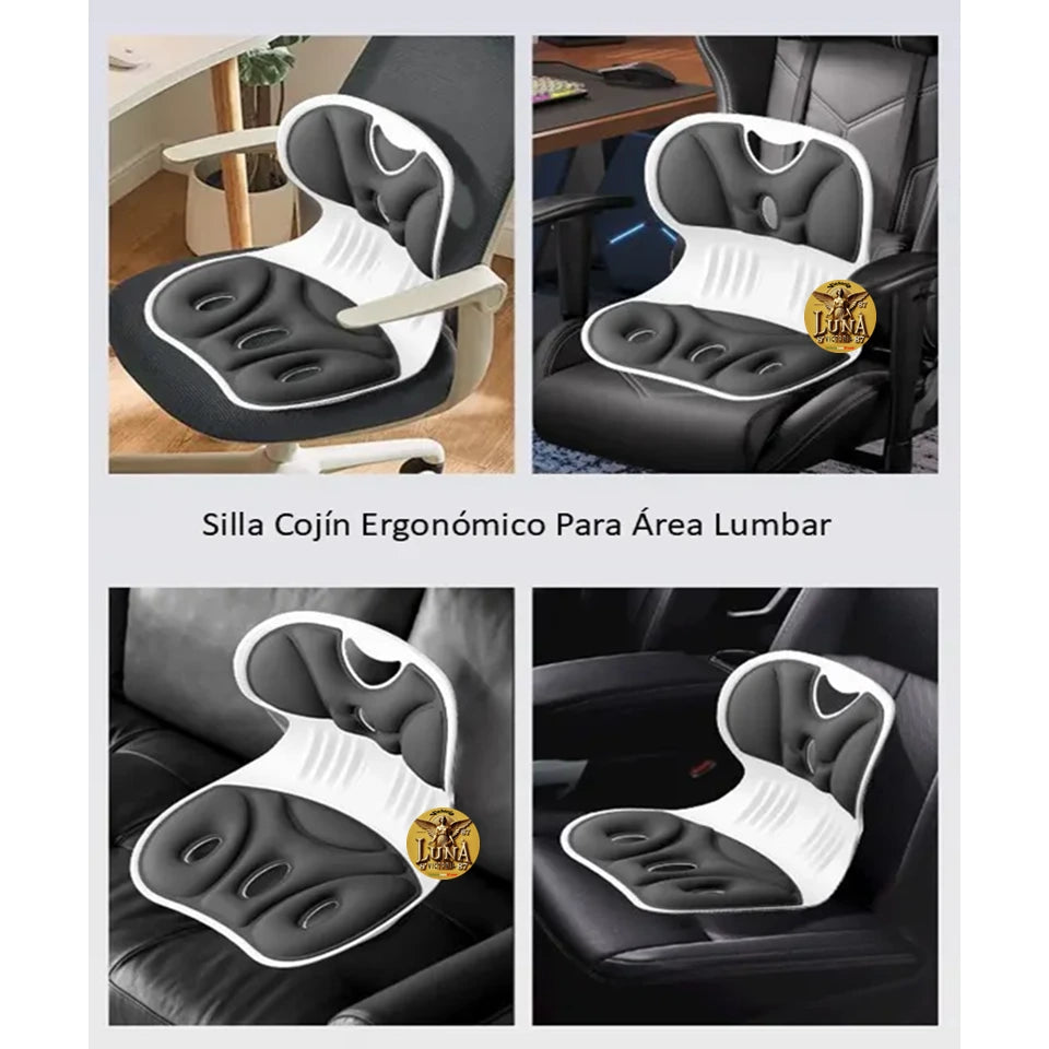 Silla Cojin Ergonomico Para Area Lumbar Color Negro | Oficina & Auto