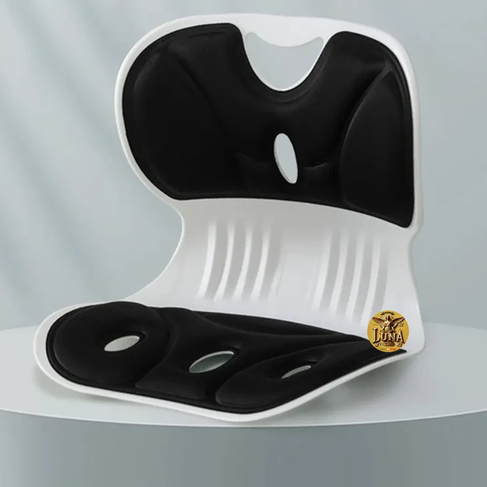 Silla Cojin Ergonomico Para Area Lumbar Color Negro | Oficina & Auto