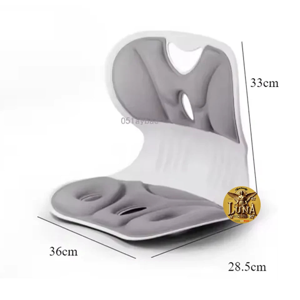 Silla Cojin Ergonomico Para Area Lumbar Color Negro | Oficina & Auto