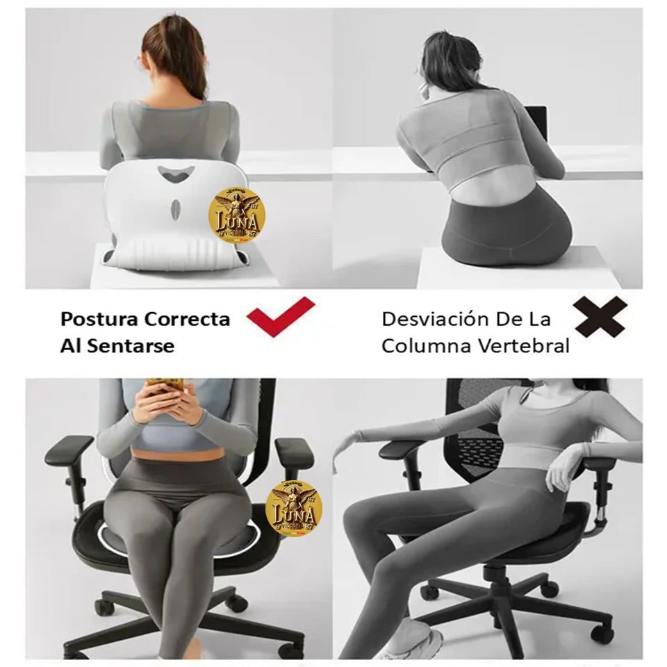 Silla Cojin Ergonomico Para Area Lumbar Color Negro | Oficina & Auto
