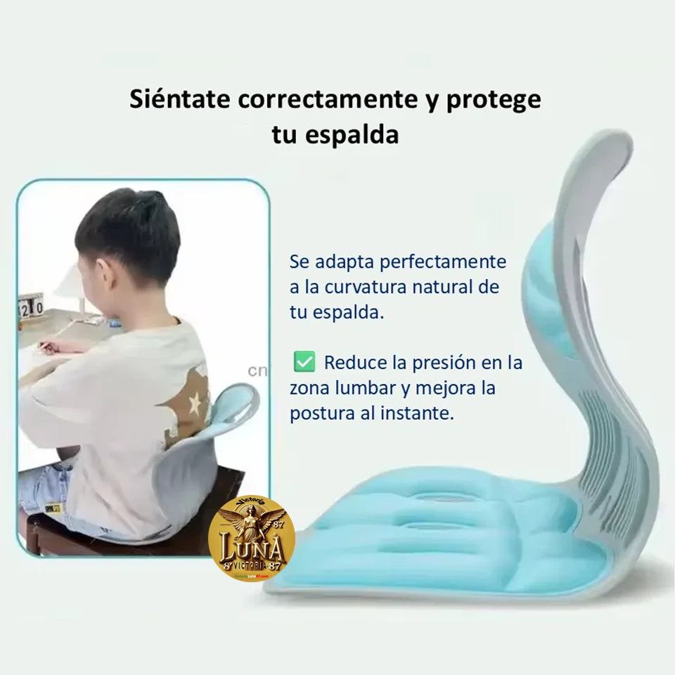 Silla Cojin Ergonomico Para Area Lumbar Color Negro | Oficina & Auto