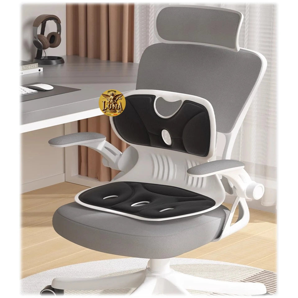 Silla Cojin Ergonomico Para Area Lumbar Color Negro | Oficina & Auto