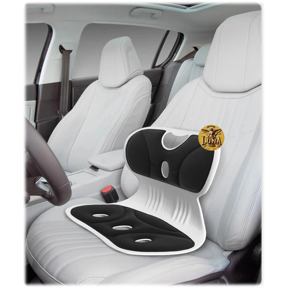 Silla Cojin Ergonomico Para Area Lumbar Color Negro | Oficina & Auto
