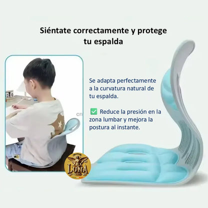 Silla Cojin Ergonomico Para Area Lumbar Color Negro | Oficina & Auto